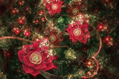 Fractal Blooming Rose   Beautiful Floral Fractal Art Wallpapers 6 ...