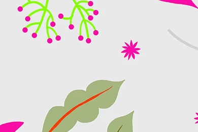 Design*Sponge Desktop Wallpapers