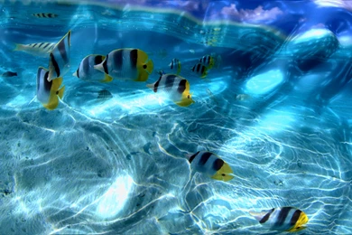 Cool Computer Backrounds – 1920×1200 High Definition Wallpapers ...