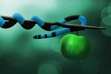 Hd Wallpapers For PC Collection (31+)