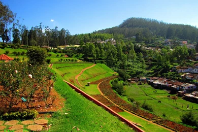Ooty Nature Images   Wallpapers HD Wide