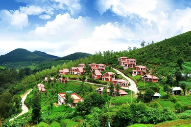 Free Ooty Wallpapers In HD   Pictures Gallery