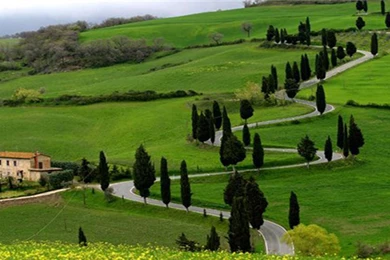 1024x768px 95.32 KB Ooty