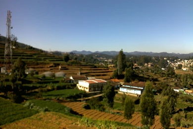 Still At Ooty >> HD Wallpaper, Get It Now!