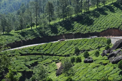 Wallpapers Magic Show Munnar Kerala 1280x960