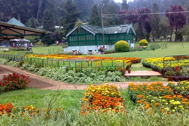Government Botanical Gardens, Ooty   Wikipedia, The Free Encyclopedia