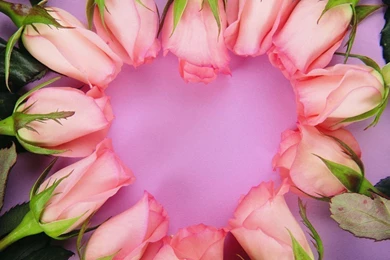 Download Wallpapers 3840x2160 Rose, Pink, Buds, Flowers, Heart 4K ...