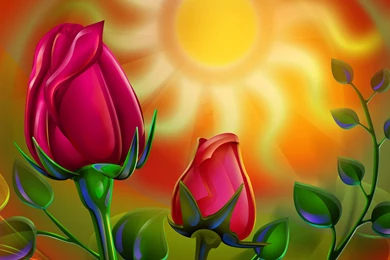 Top Rose Buds Wallpapers Wallpapers