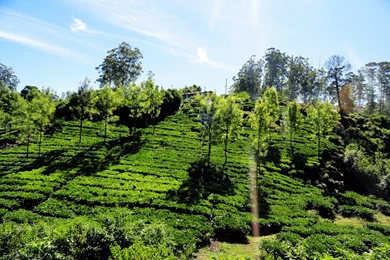 Tour Holidays Tamilnadu Packages, Honeymoon Places, Tour Store