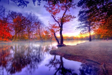 Beautiful Wallpapers Awesome Images   Fullwidehd.com