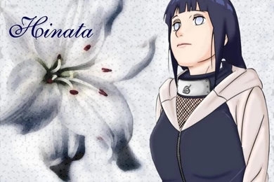 Wallpapers Hyuuga Hinata Naruto Hyuga 800x600