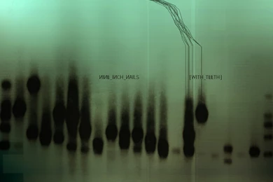 Nine Inch Nails   Nine Inch Nails Wallpapers (10572656)   Fanpop