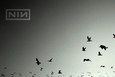 Wallpaper: Ghosts I IV