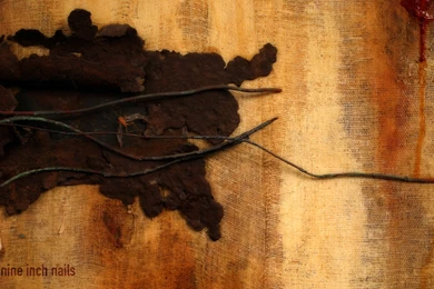 The Downward Spiral   Nine Inch Nails Wallpapers (27519617)   Fanpop