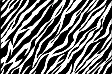 Zebra Wallpapers