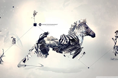 Zebra, Art, Stock, 1920x1200 HD Wallpapers And FREE Stock Photo