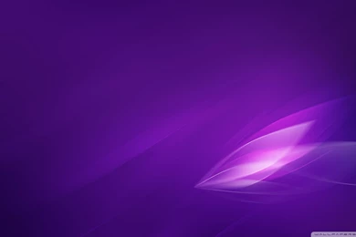 Purple Wallpapers
