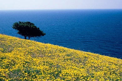 Greece Sea HD Desktop >> HD Wallpaper, Get It Now!