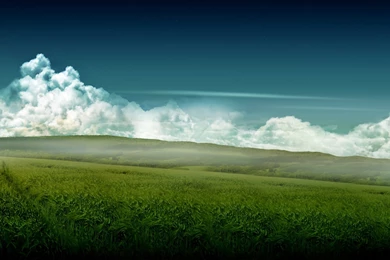 Artistic Wheat Field HD Desktop Wallpapers : High Definition : Mobile