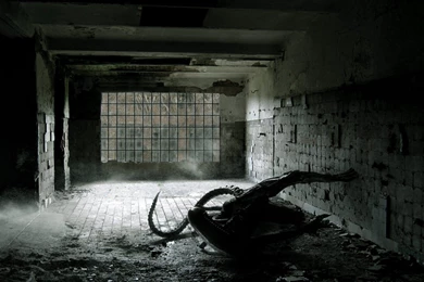 Alien Movie Some New Amazing HD Wallpapers   All HD Wallpapers