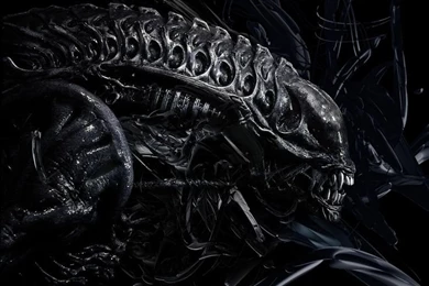 Prometheus Movie HD Wallpapers