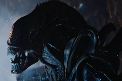 Alien Movie Wallpapers HD Widescreen 2016 . Best High Resolution ...