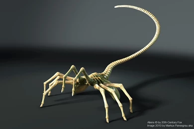 Alien Computer Wallpapers, Desktop Backgrounds