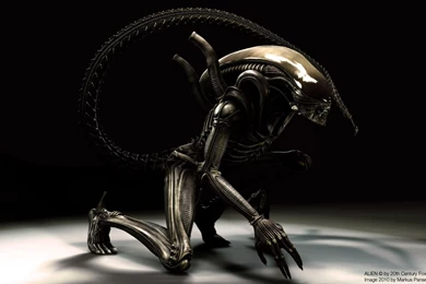 Alien Computer Wallpapers, Desktop Backgrounds