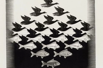 Birds,fish Birds Fish Mc Escher Monochrome Optical Illusions ...