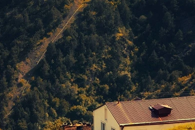 Autumn iPhone 5s Wallpapers