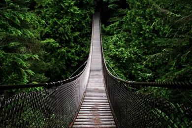 Amazing Desktop Cool Wallpapers HD   Live Wallpapers HD Desktop ...