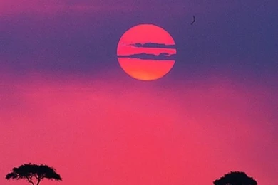 Can Someone Size This For iPhone 5 Please? : IWallpapers