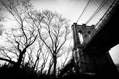 World: Brooklyn Bridge USA Manhattan New York City Big Apple HD ...