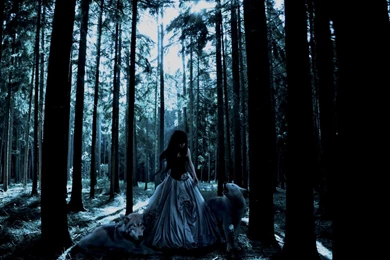 Girl In The Forest Wallpapers