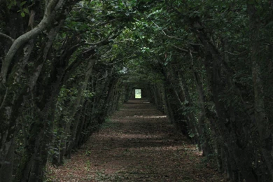 Top Pin Black Forest Germany Wallpapers