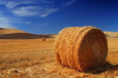 Download Free Modern Free Country The Wallpapers 1920x1080