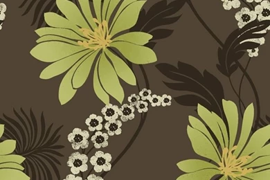 K2 Tahiti Wallpapers Lime/Chocolate 96315