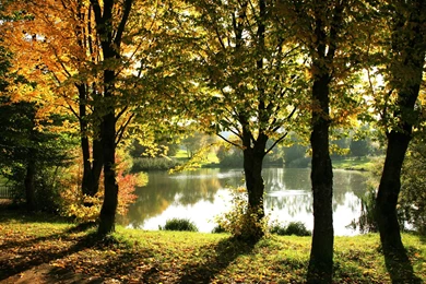 779383 Country HD Wallpapers