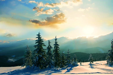 Evergreens Winter Wallpaper, The Intertubes Get Tighter, Justice ...