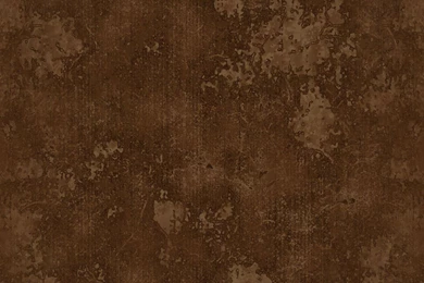 Brown Flower Wallpapers   Wallpapers HD Fine