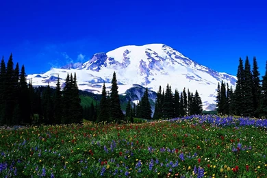 Wallpapers Late Winter 1920x1080