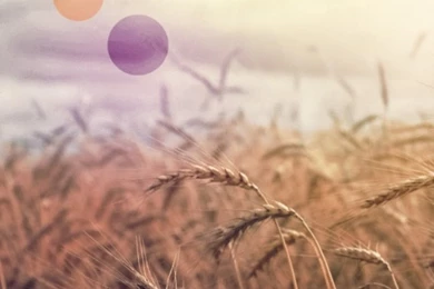 Rainbow Country Wallpapers For iPhone 5 Archives   HD Wallpapers ...