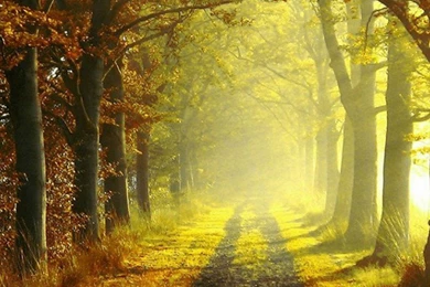 Country Road 2 Samsung Wallpapers, Samsung Galaxy S5, Galaxy S4 ...