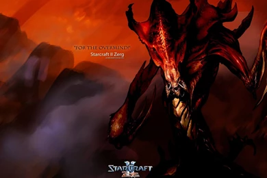 High Resolution Game Starcraft 2 Zerg Wallpapers HD 7 Full Size ...