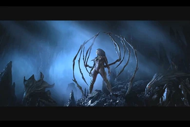 Starcraft 2 Wallpapers