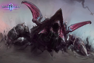 Wallpapers   Media   StarCraft II