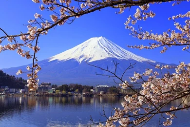 MY IDEAL JAPANESE WINTER VACATION   DELUXSHIONIST