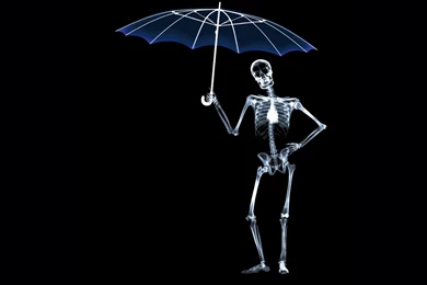 X ray Wallpapers Wallpapers Zone