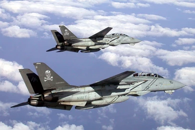 My Free Wallpapers   Vehicles Wallpapers : F 14 Tomcats