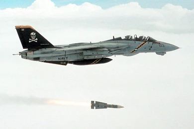 My Free Wallpapers   Vehicles Wallpapers : F 14 Tomcat